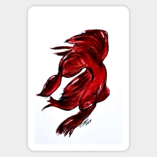 Art Doodle No. 36 Betta Fish Sticker